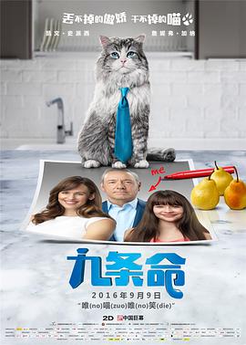 成全视频观看