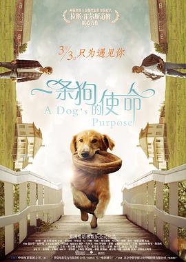 九月丁香婷婷