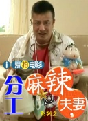 久久国内视频