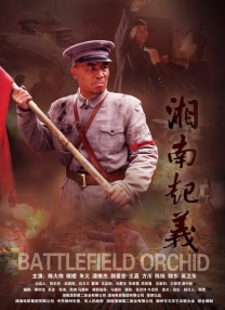 国产入口在线观看