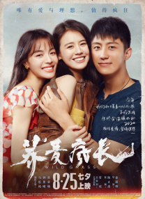 捷径社区网页版