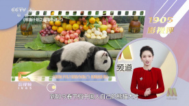 侍女跪在胯间服侍h黄np
